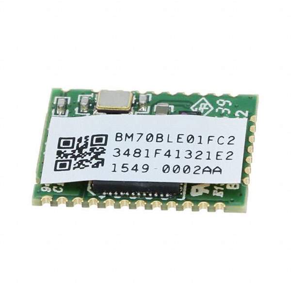 BM70BLE01FC2-0002AA Real Image