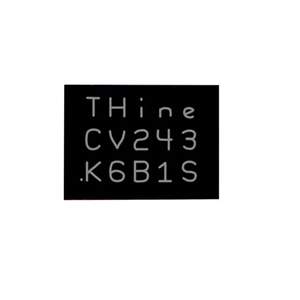 THCV243	 THine Solutions, Inc.
