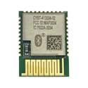 CYBT-413034-02 Real Image