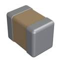 C08BL242X-5ZN-X0B Real Image