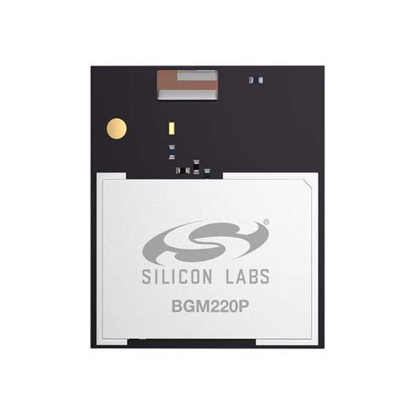 BGM220PC22HNA2 Real Image