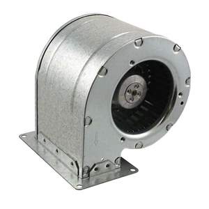 D2E097-BE01-65 Real Image