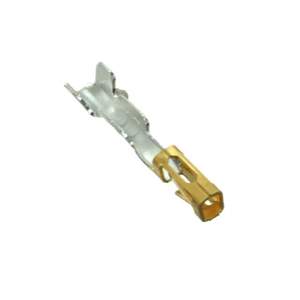 CC79L-2024-01-L Real Image