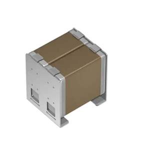 CAA572X7R1V107M670LH Real Image