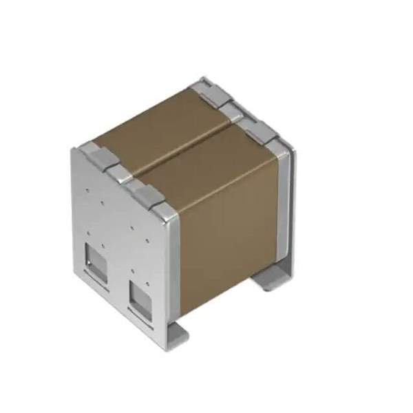 CAA572X7R1V107M670LH Real Image