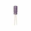 ECA-1CM101BPanasonic Electronic Components