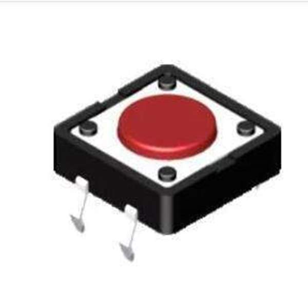 DTS-21N-V Diptronics
