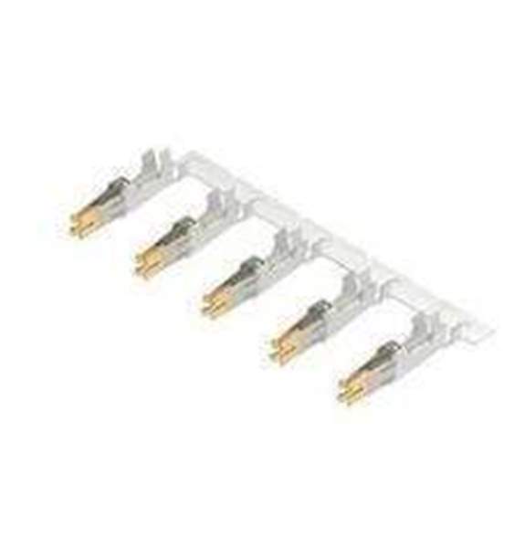 42815-0042 Molex