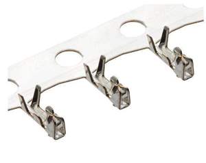 50079-8100 Molex