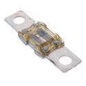 153.5631.5401 Littelfuse Inc. – Price, Stock & Datasheet