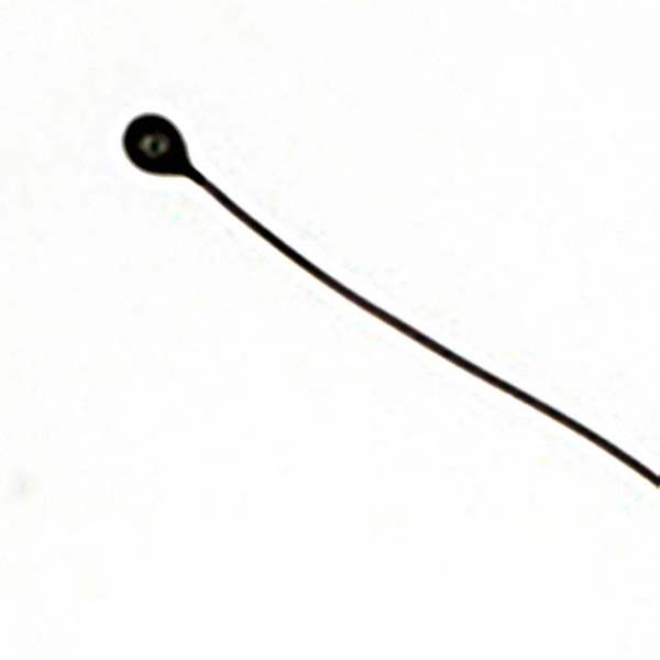 NXFT15WF104FA2B050 Murata Electronics North America – Price, Stock & Datasheet