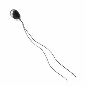 121-104KAH-Q01 Honeywell – Price, Stock & Datasheet