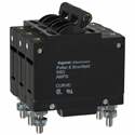 W93-X112-5 TE Connectivity – Price, Stock & Datasheet