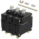 W67-X2Q52-10 TE Connectivity – Price, Stock & Datasheet
