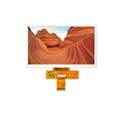 E24RG12432LW2M300-N Focus LCDs – Price, Stock & Datasheet