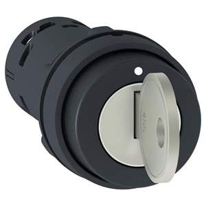 XB4BG33 Schneider Electric – Price, Stock & Datasheet