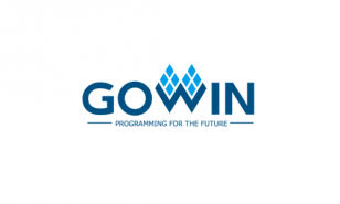 Picture for category GOWIN Semiconductor